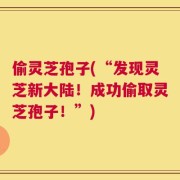 偷灵芝孢子(“发现灵芝新大陆！成功偷取灵芝孢子！”)
