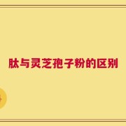 肽与灵芝孢子粉的区别