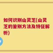 如何识别山灵芝(山灵芝的鉴别方法及特征解析)
