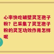 心率快吃破壁灵芝孢子粉？已采集了灵芝孢子粉的灵芝功效作用怎样呢