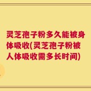 灵芝孢子粉多久能被身体吸收(灵芝孢子粉被人体吸收需多长时间)