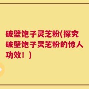 破壁饱子灵芝粉(探究破壁饱子灵芝粉的惊人功效！)