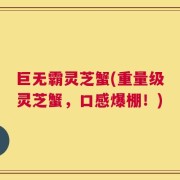巨无霸灵芝蟹(重量级灵芝蟹，口感爆棚！)