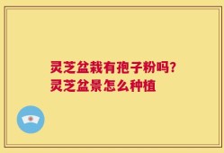 灵芝盆栽有孢子粉吗？灵芝盆景怎么种植