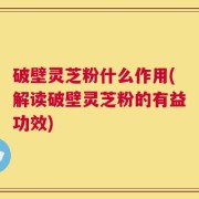 破壁灵芝粉什么作用(解读破壁灵芝粉的有益功效)