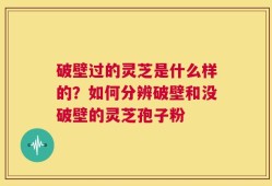 破壁过的灵芝是什么样的？如何分辨破壁和没破壁的灵芝孢子粉