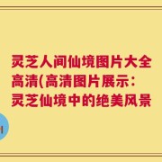 灵芝人间仙境图片大全高清(高清图片展示：灵芝仙境中的绝美风景