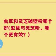 虫草和灵芝破壁粉哪个好(虫草与灵芝粉，哪个更有效？)