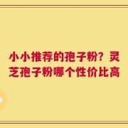 小小推荐的孢子粉？灵芝孢子粉哪个性价比高