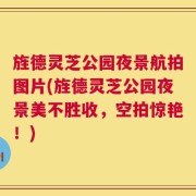 旌德灵芝公园夜景航拍图片(旌德灵芝公园夜景美不胜收，空拍惊艳！)