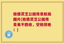 旌德灵芝公园夜景航拍图片(旌德灵芝公园夜景美不胜收，空拍惊艳！)