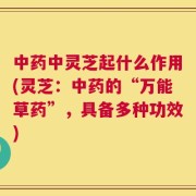 中药中灵芝起什么作用(灵芝：中药的“万能草药”，具备多种功效)