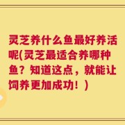 灵芝养什么鱼最好养活呢(灵芝最适合养哪种鱼？知道这点，就能让饲养更加成功！)