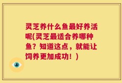 灵芝养什么鱼最好养活呢(灵芝最适合养哪种鱼？知道这点，就能让饲养更加成功！)