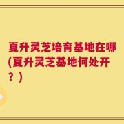 夏升灵芝培育基地在哪(夏升灵芝基地何处开？)