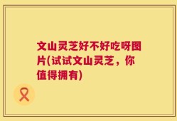 文山灵芝好不好吃呀图片(试试文山灵芝，你值得拥有)