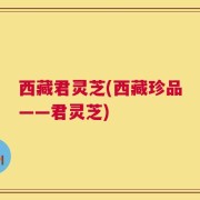 西藏君灵芝(西藏珍品——君灵芝)
