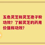 五色灵芝和灵芝孢子粉功效？了解灵芝的药用价值和功效？