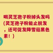 喝灵芝孢子粉掉头发吗(灵芝孢子粉能止脱发，还可促发降雪菇黑色素！)