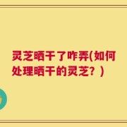 灵芝晒干了咋弄(如何处理晒干的灵芝？)