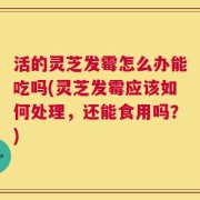 活的灵芝发霉怎么办能吃吗(灵芝发霉应该如何处理，还能食用吗？)