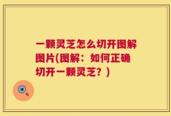 一颗灵芝怎么切开图解图片(图解：如何正确切开一颗灵芝？)