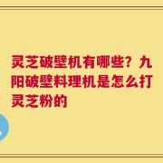 灵芝破壁机有哪些？九阳破壁料理机是怎么打灵芝粉的