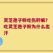灵芝孢子粉吃伤肝嘛？吃灵芝孢子粉为什么出汗