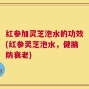 红参加灵芝泡水的功效(红参灵芝泡水，健脑防衰老)