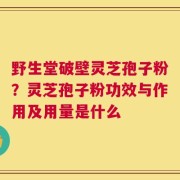 野生堂破壁灵芝孢子粉？灵芝孢子粉功效与作用及用量是什么