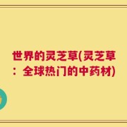 世界的灵芝草(灵芝草：全球热门的中药材)