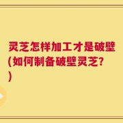 灵芝怎样加工才是破壁(如何制备破壁灵芝？)