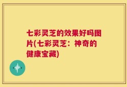 七彩灵芝的效果好吗图片(七彩灵芝：神奇的健康宝藏)