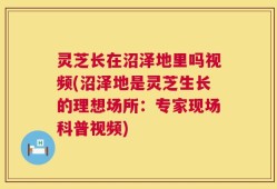 灵芝长在沼泽地里吗视频(沼泽地是灵芝生长的理想场所：专家现场科普视频)