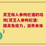 灵芝和人参枸杞酒的功效(灵芝人参枸杞酒：提高免疫力，滋养身体)