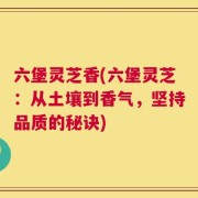 六堡灵芝香(六堡灵芝：从土壤到香气，坚持品质的秘诀)