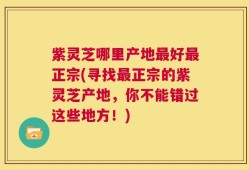 紫灵芝哪里产地最好最正宗(寻找最正宗的紫灵芝产地，你不能错过这些地方！)