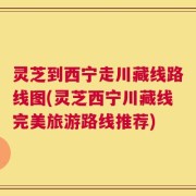 灵芝到西宁走川藏线路线图(灵芝西宁川藏线完美旅游路线推荐)