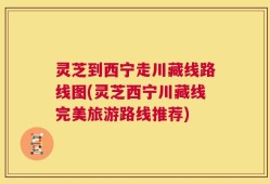 灵芝到西宁走川藏线路线图(灵芝西宁川藏线完美旅游路线推荐)