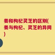 姜和枸杞灵芝的区别(姜与枸杞、灵芝的异同)