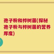 孢子粉和桦树菌(探秘孢子粉与桦树菌的营养厚度)