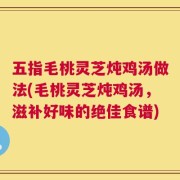 五指毛桃灵芝炖鸡汤做法(毛桃灵芝炖鸡汤，滋补好味的绝佳食谱)