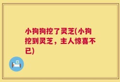 小狗狗挖了灵芝(小狗挖到灵芝，主人惊喜不已)