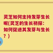 灵芝如何主持发芽生长呢(灵芝的生长初探：如何促进其发芽与生长？)