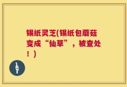 锡纸灵芝(锡纸包蘑菇变成“仙草”，被查处！)