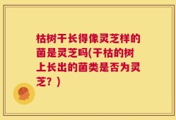枯树干长得像灵芝样的菌是灵芝吗(干枯的树上长出的菌类是否为灵芝？)
