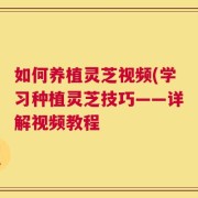 如何养植灵芝视频(学习种植灵芝技巧——详解视频教程