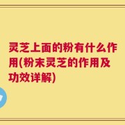 灵芝上面的粉有什么作用(粉末灵芝的作用及功效详解)