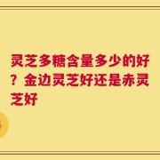 灵芝多糖含量多少的好？金边灵芝好还是赤灵芝好