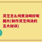 灵芝怎么炖煮汤喝好呢图片(制作灵芝炖汤的五大秘诀)